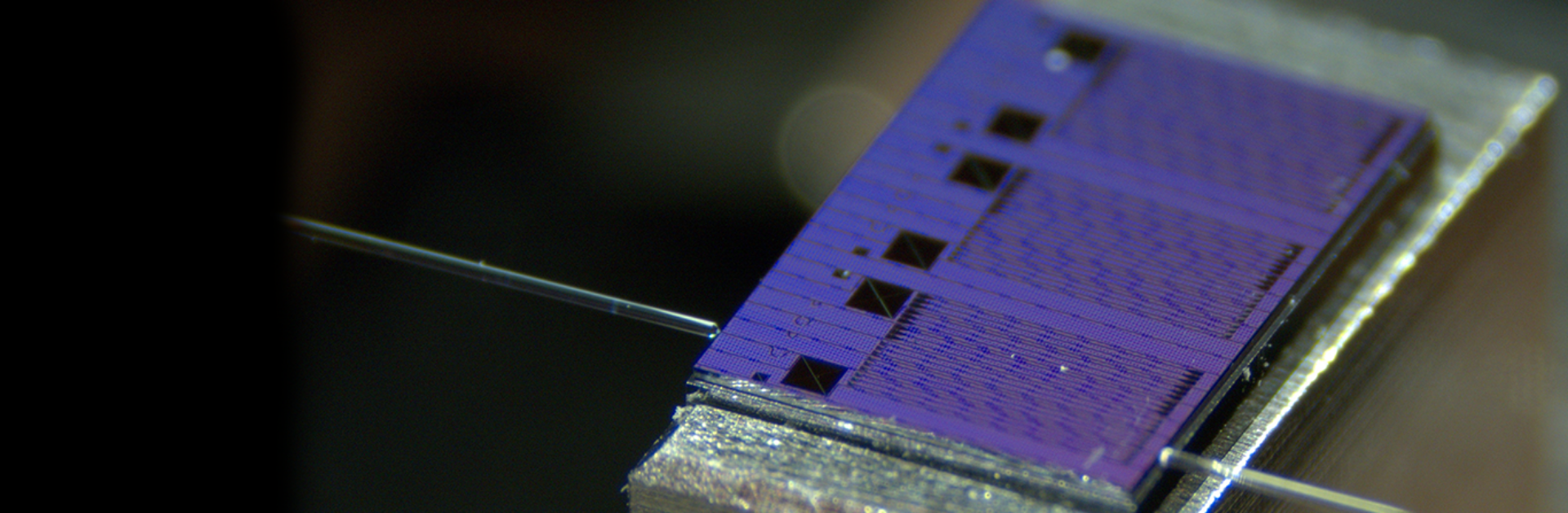 Photonic integrated circuit chip detail